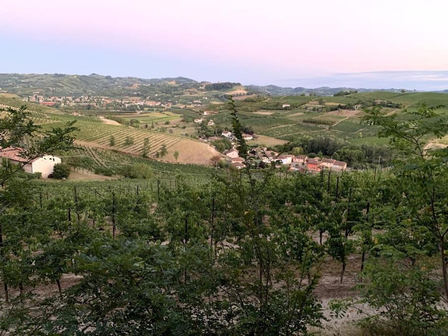 Apart-Agriturismo "La Colomba" Ница Монферато Екстериор снимка